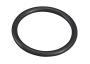 View Engine Coolant Flange O Ring. Engine Coolant Pipe O Ring (Outer, Inlet, Outlet). Full-Sized Product Image 1 of 10